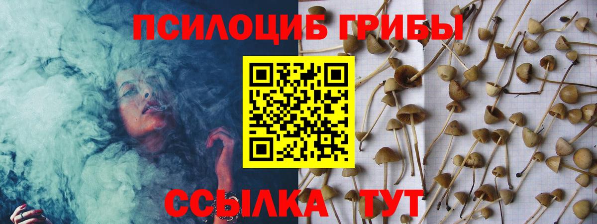 Псилоцибиновые грибы Cubensis  Галлюциногенные грибы Psilocybine cubensis  Вход с VPN  Краснознаменск 